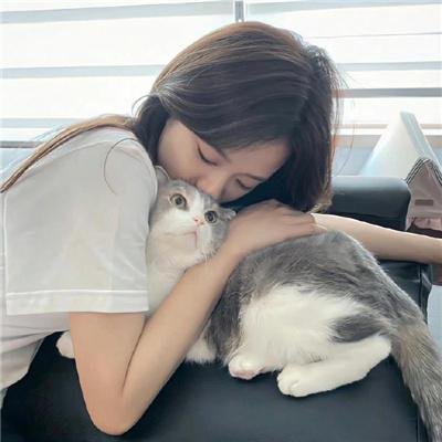 爱美丽狂想曲国语封面
